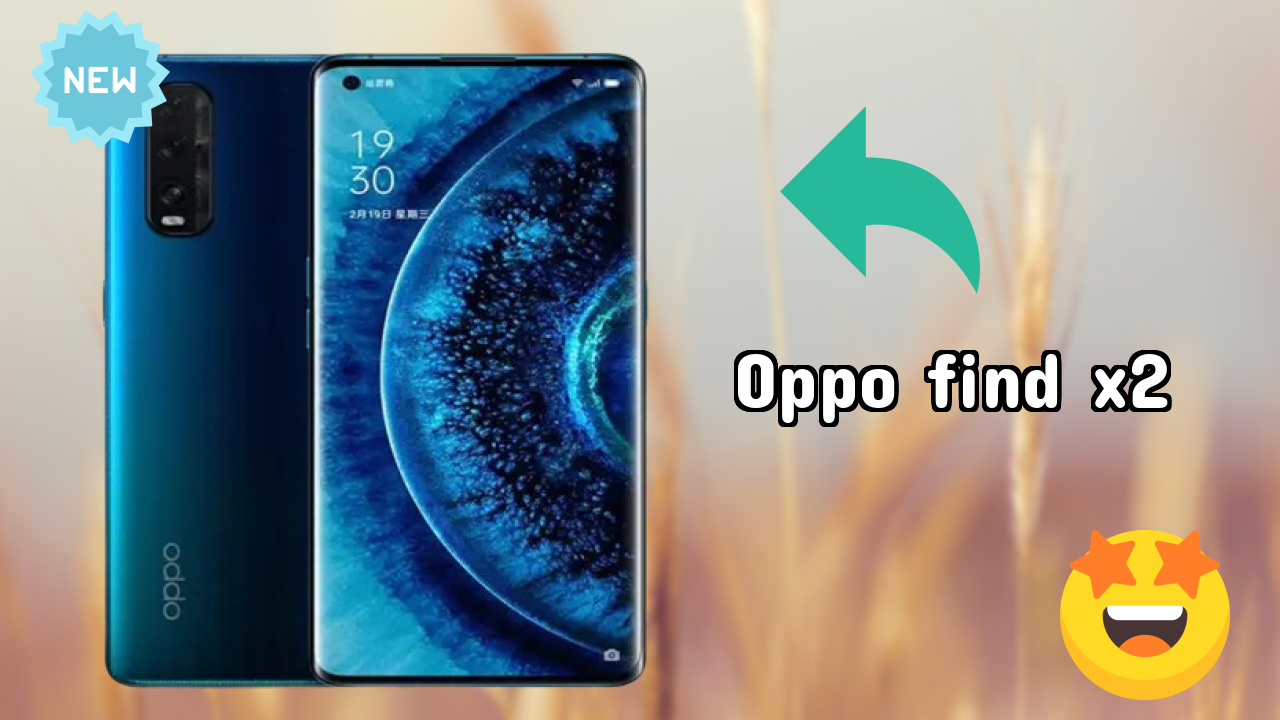 OPPO Find X2 Camera Review: 48 MP + 12 MP + 13 MP Rear Camera Photo Samples